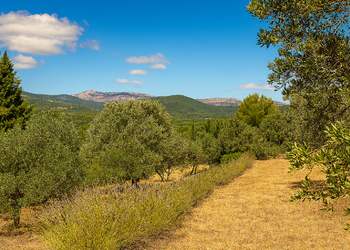 Maisons de vacances en France