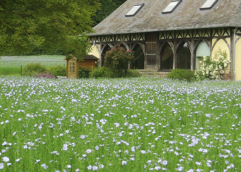Maisons de vacances en France