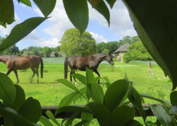 Maisons de vacances en France
