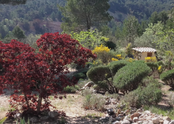 Maisons de vacances en France