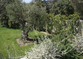 Maisons de vacances en France