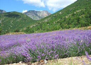 Maisons de vacances en France