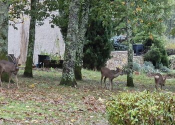 Maisons de vacances en France