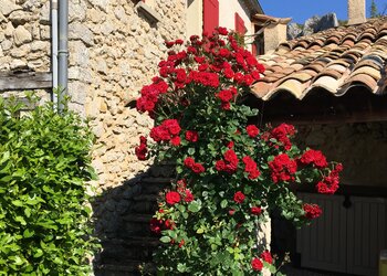 Maisons de vacances en France