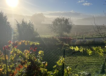 Maisons de vacances en France