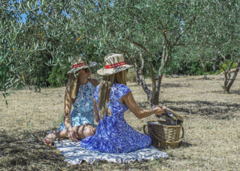 Maisons de vacances en France