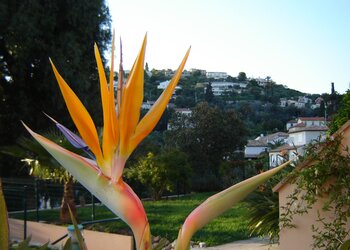 Maisons de vacances en France