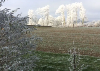 Vakantiehuizen in Frankrijk