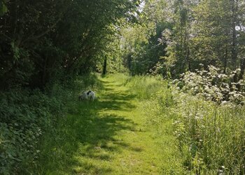 Vakantiehuizen in Frankrijk