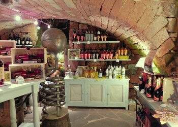 Vakantiehuizen in Frankrijk