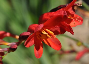 Vakantiehuizen in Frankrijk