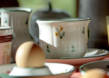 Vakantiehuizen in Frankrijk