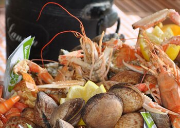 Vakantiehuizen in Frankrijk