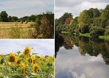 Vakantiehuizen in Frankrijk