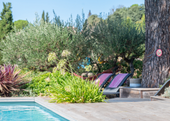 Vakantiehuizen in Frankrijk