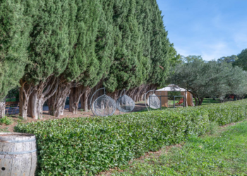 Vakantiehuizen in Frankrijk