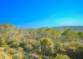 Vakantiehuizen in Frankrijk