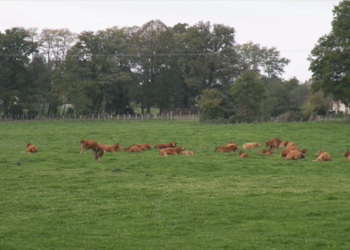 Vakantiehuizen in Frankrijk