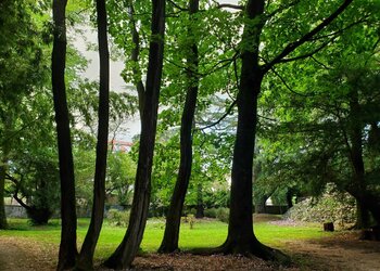 Vakantiehuizen in Frankrijk