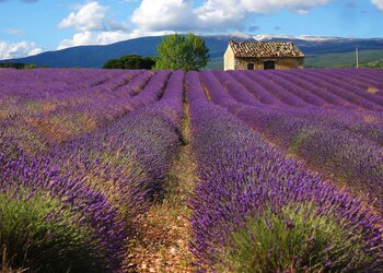 Vakantiehuizen in Frankrijk