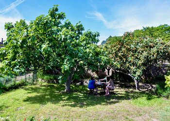 Vakantiehuizen in Frankrijk