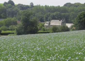 Vakantiehuizen in Frankrijk
