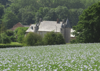 Vakantiehuizen in Frankrijk