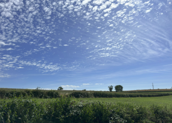 Vakantiehuizen in Frankrijk
