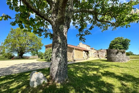 Holiday homes in France